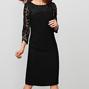 RSVP by Talbots black dress with Lace on top